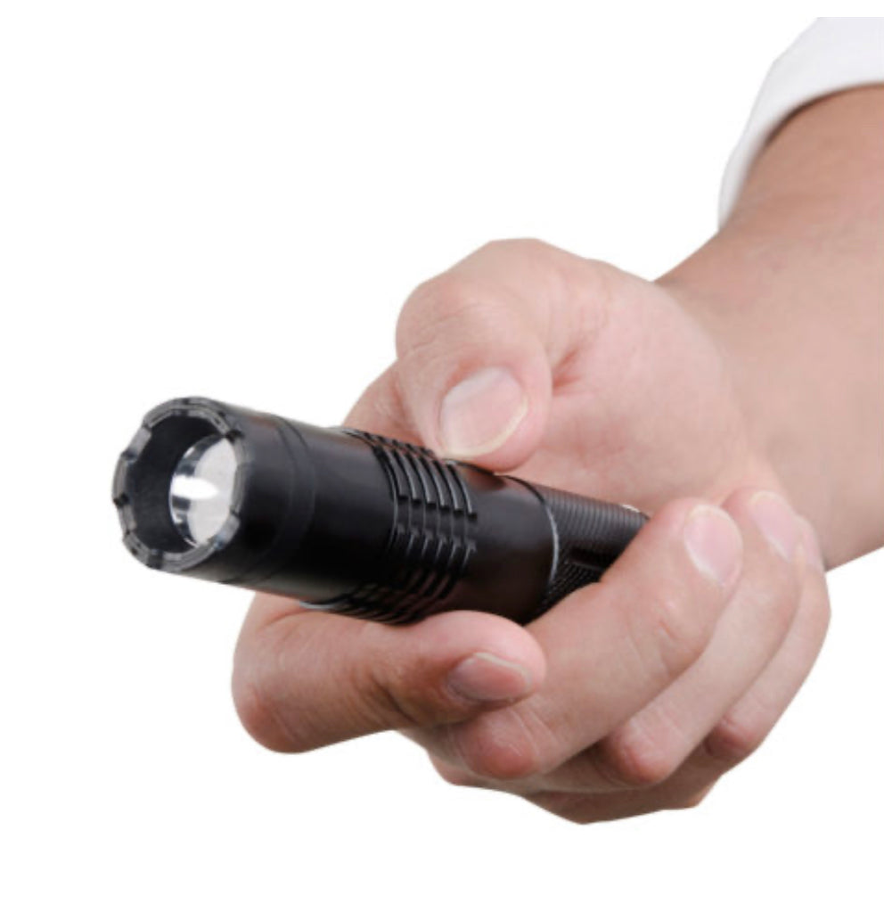 Flashlight Stun Gun